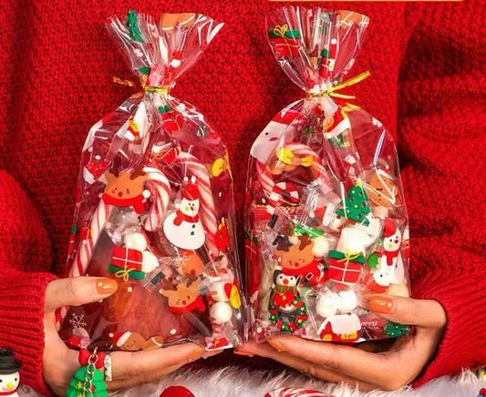 Christmas gift bag